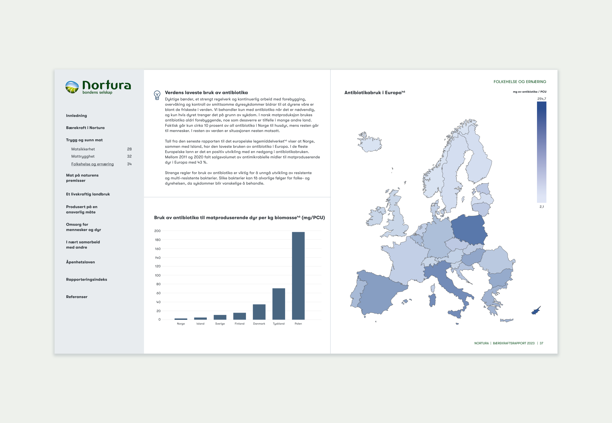 Mockup of rapport