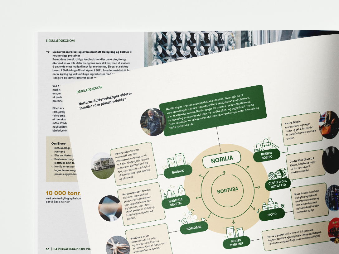 Brochure mockup