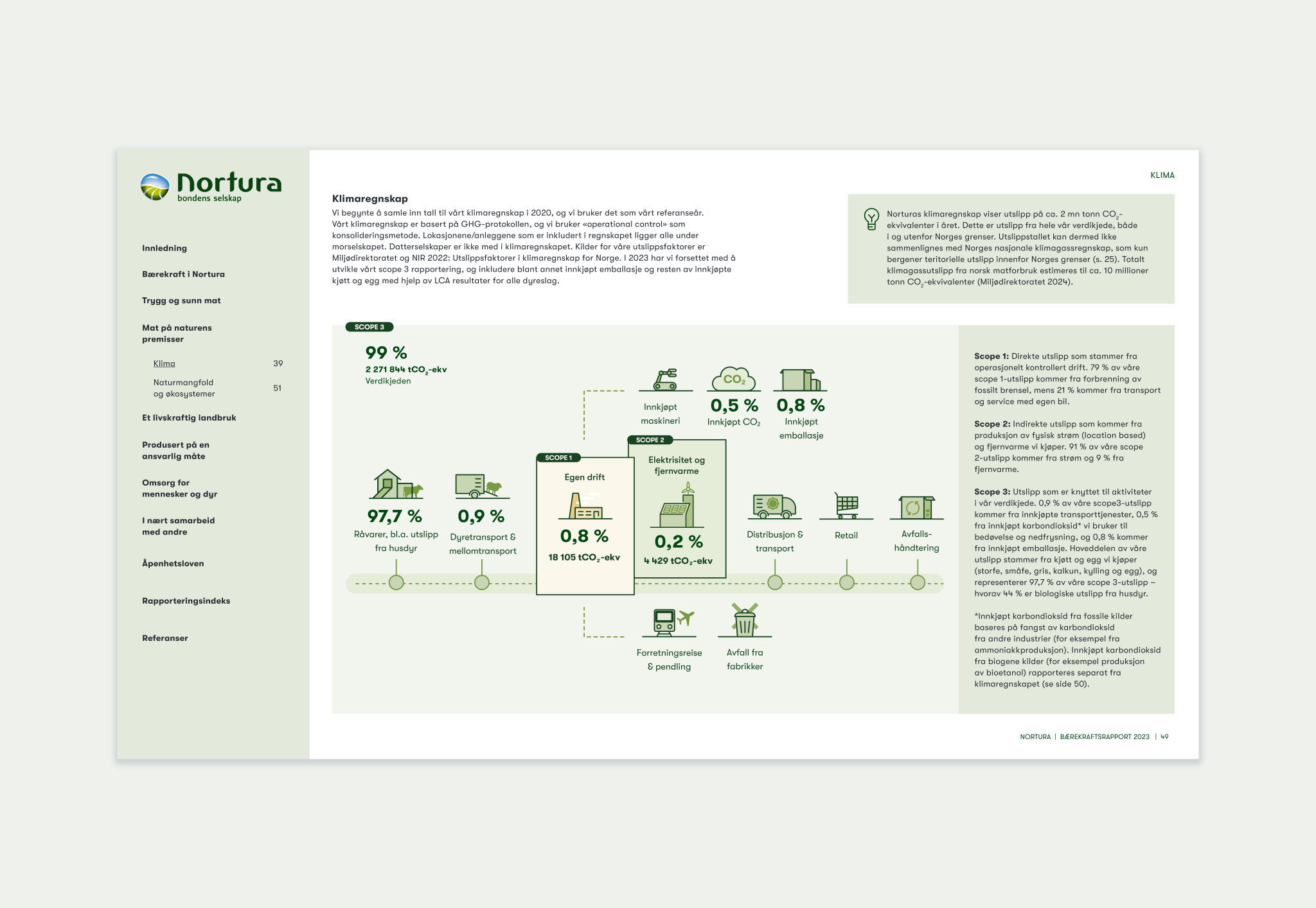 image from the rapport showing a infographic in pale green