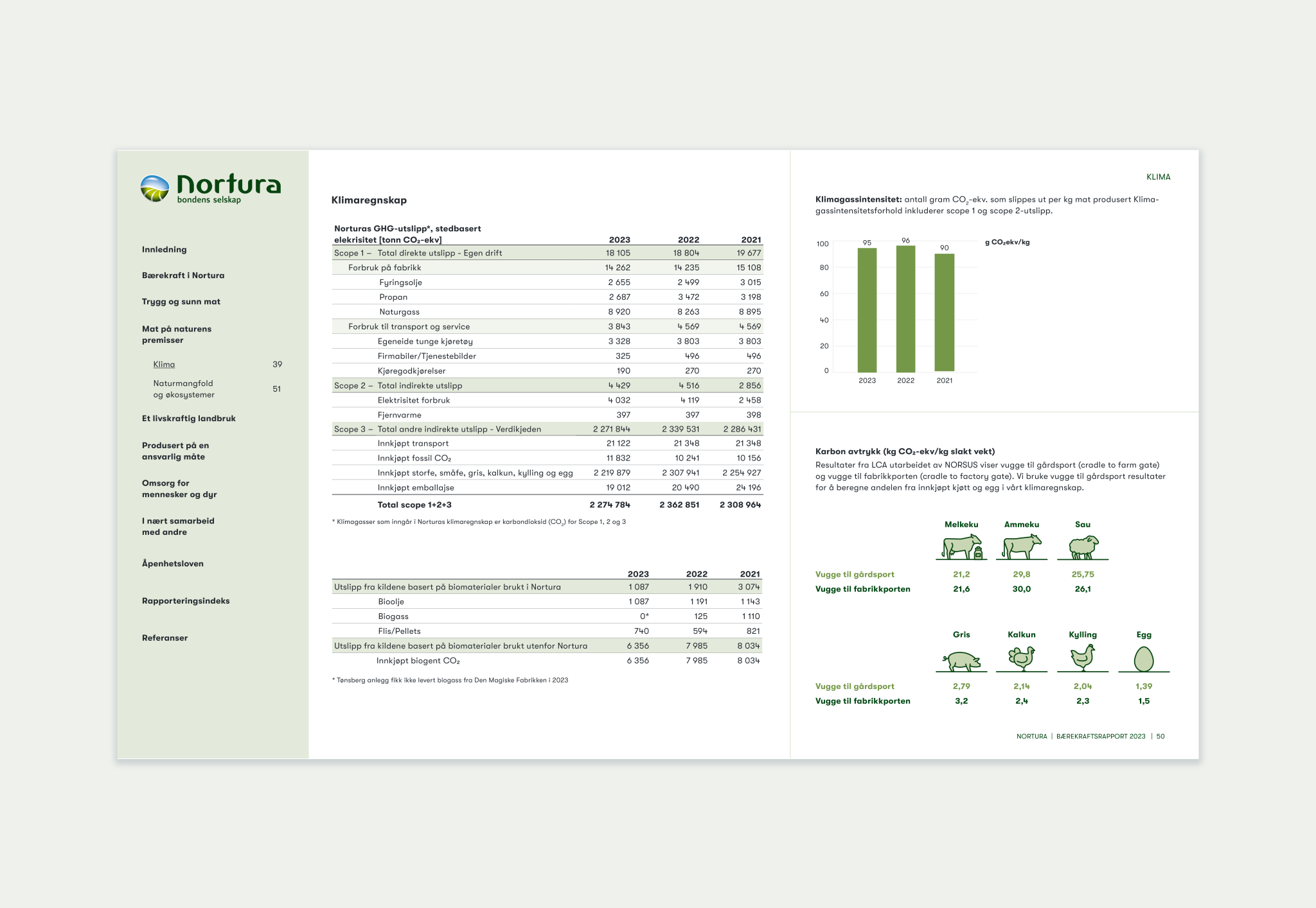 image from the rapport showing infographics in white and green