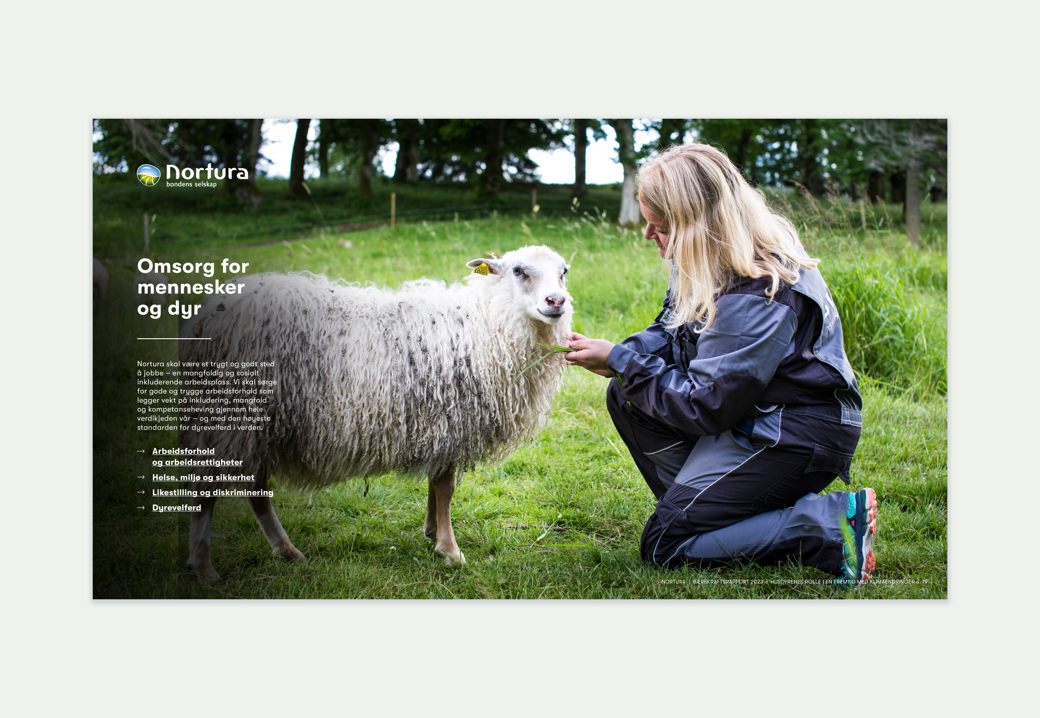 image of girl and sheep